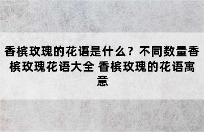 香槟玫瑰的花语是什么？不同数量香槟玫瑰花语大全 香槟玫瑰的花语寓意